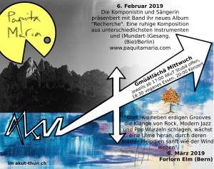Flyer AkuT Mi6